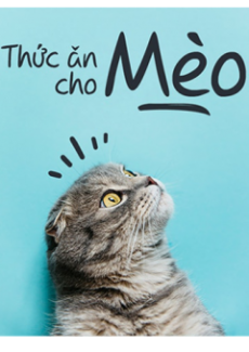 Shop cho mèo