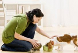 7 mẹo chăm sóc thú cưng được chuyên gia khuyên nên áp dụng